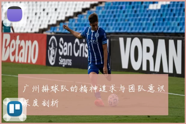 广州排球队的精神追求与团队意识深度剖析