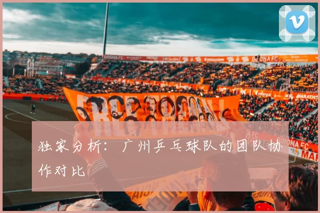 独家分析：广州乒乓球队的团队协作对比