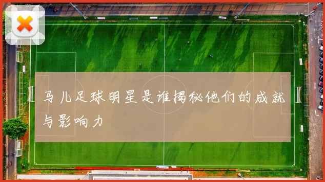 马儿足球明星是谁揭秘他们的成就与影响力