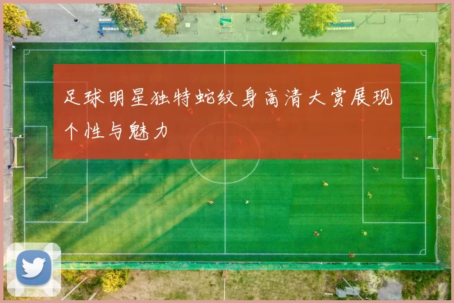 足球明星独特蛇纹身高清大赏展现个性与魅力