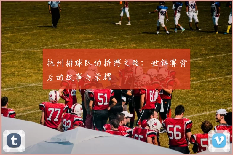 杭州排球队的拼搏之路：世锦赛背后的故事与荣耀