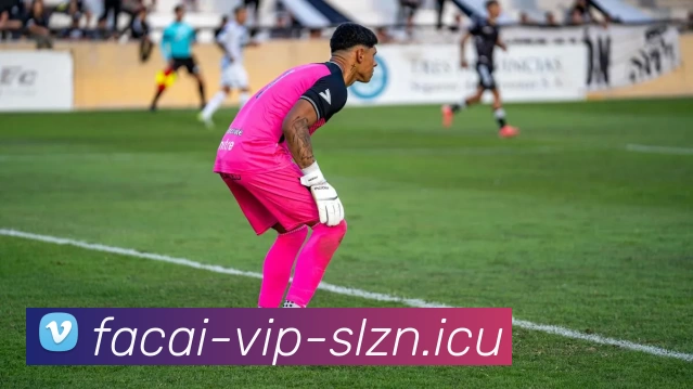 乐鱼体育品牌故事