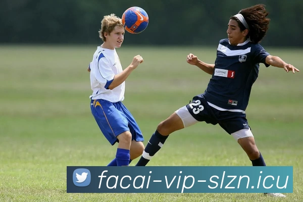 乐鱼体育服务体系